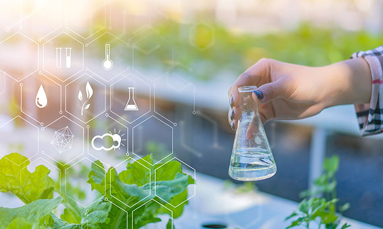 三次電解、磁化工藝