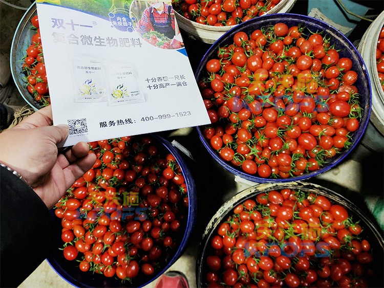 夫沃施進口肥怎么樣？