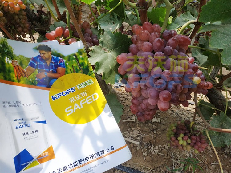 磷酸二氫鉀為什么都說粉劑的好？