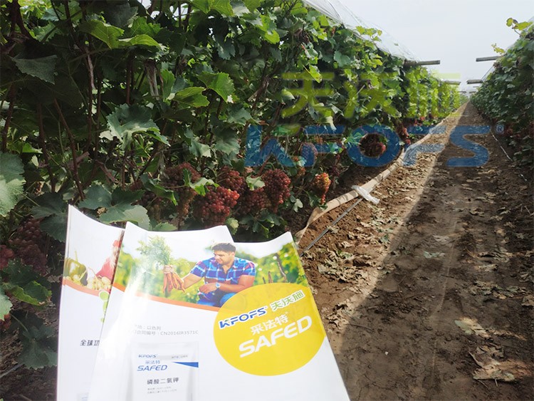 磷酸二氫鉀為什么都說粉劑的好？