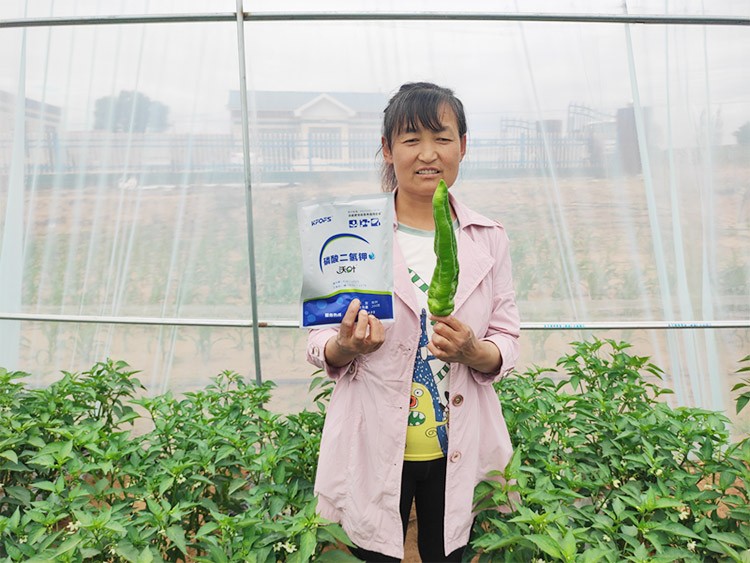 磷酸二氫鉀不好用？那是因為沒選對！