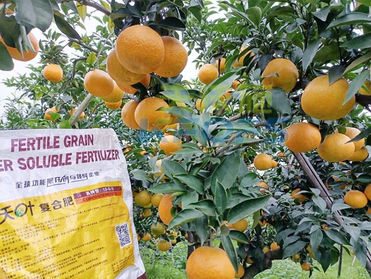 柑橘膨果轉(zhuǎn)色期用什么水溶肥好？