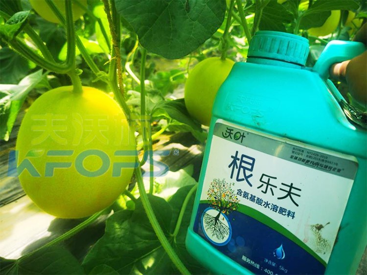 甜瓜用哪個水溶肥廠家的產品好？
