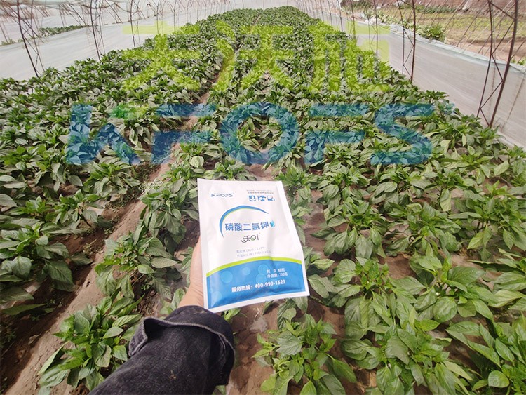 磷酸二氫鉀廠家，這家不要錯過！