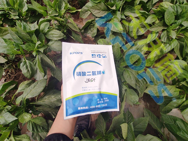 磷酸二氫鉀廠家，這家不要錯過！