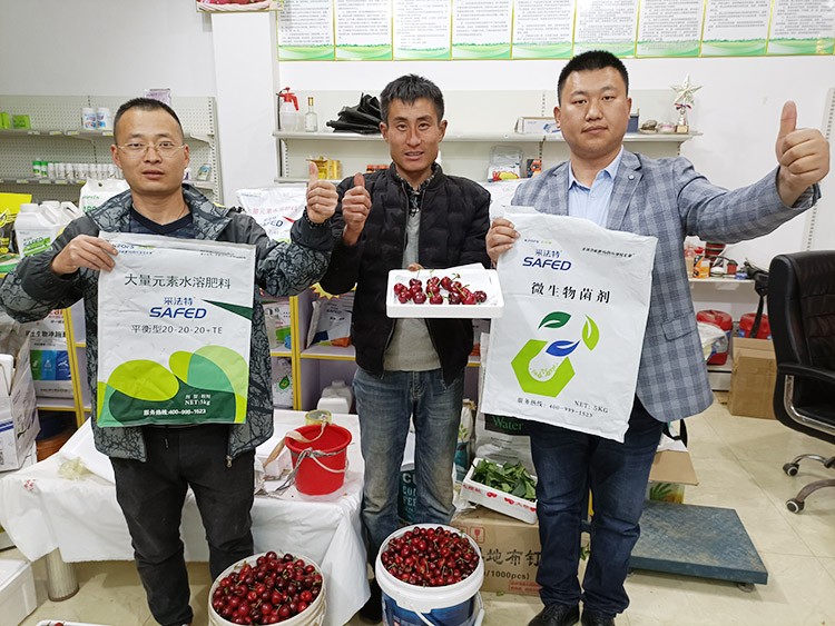 水溶肥哪家好？看完這篇不疑惑！