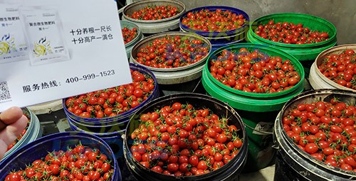 夫沃施進口肥怎么樣？