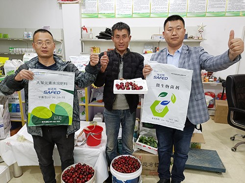 水溶肥哪家好？看完這篇不疑惑！