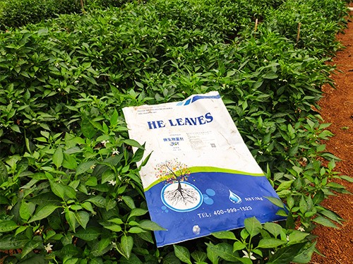 辣椒用什么水溶肥病害少？