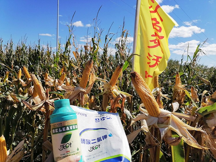 玉米葉面肥哪個(gè)品牌好？