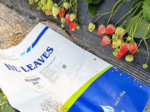 草莓微生物菌劑哪種好？別用錯了！