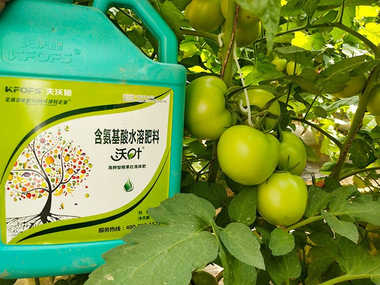 蔬菜沖施肥哪個(gè)品牌好？經(jīng)驗(yàn)實(shí)談