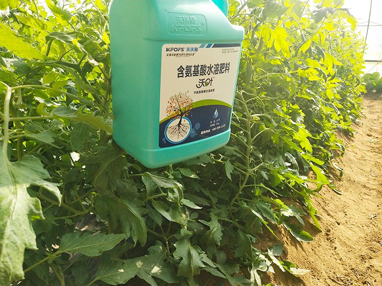 蔬菜沖施肥哪個(gè)品牌好？經(jīng)驗(yàn)實(shí)談