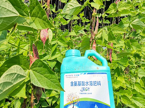 進(jìn)口水溶肥，懂行的人都這么選！