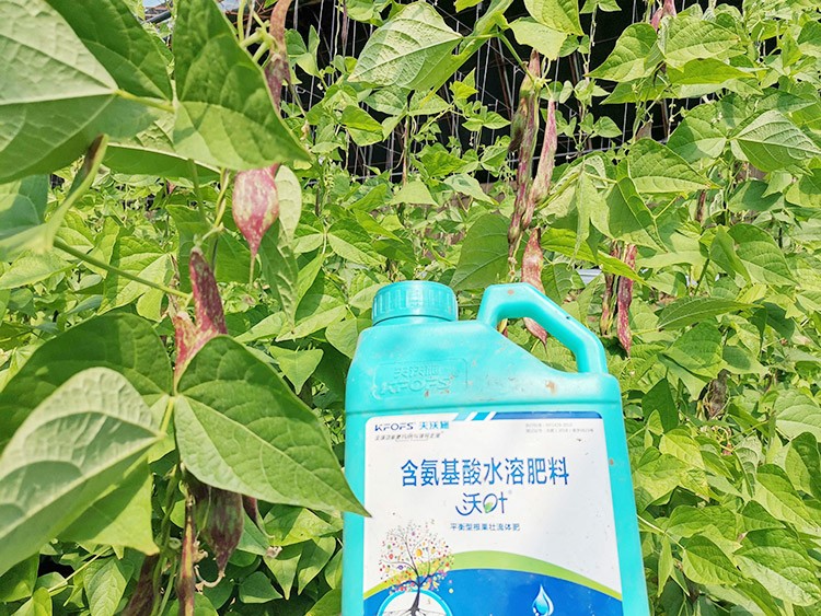 進口水溶肥，懂行的人都這么選！