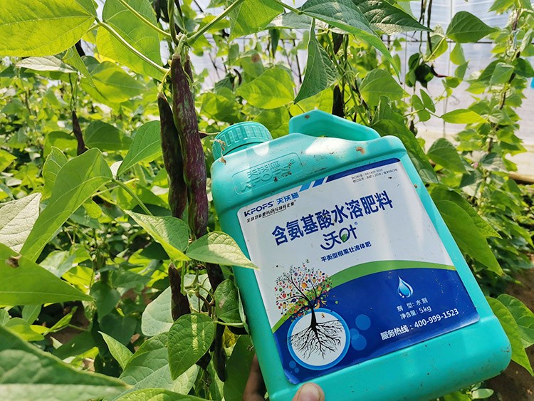 進口水溶肥，懂行的人都這么選！