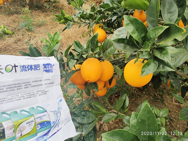 好的水溶肥是什么生產(chǎn)工藝？