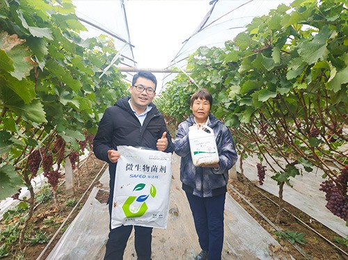 水溶肥廠家夫沃施都說好？好在哪？