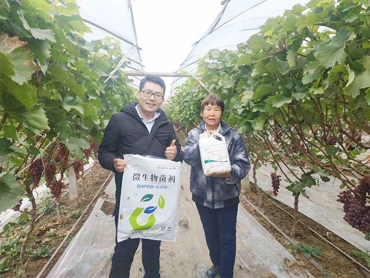 水溶肥廠家夫沃施都說好？好在哪？