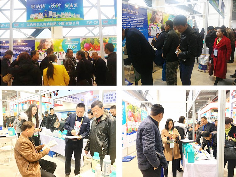 新時代背景下的楊凌農(nóng)高會，功能肥地位更凸顯