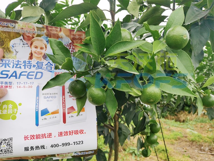 進(jìn)口水溶肥怎么選？參考這三點(diǎn)就夠了！