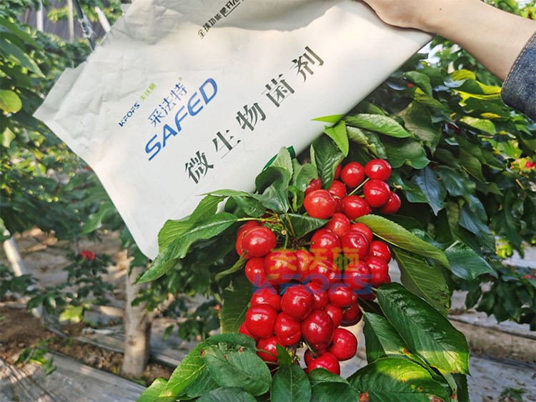 進(jìn)口水溶肥怎么選？參考這三點(diǎn)就夠了！