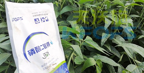 進口磷酸二氫鉀不得不了解的一個品牌！