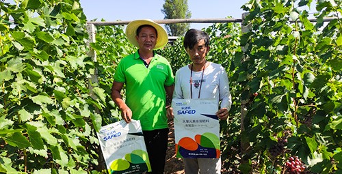 肥料廠家，有經(jīng)驗(yàn)的農(nóng)資人這樣選！