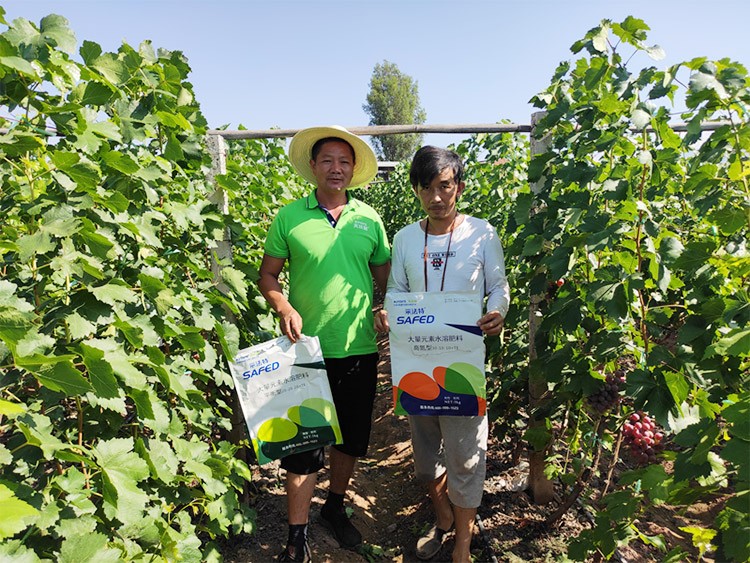 肥料廠家，有經(jīng)驗(yàn)的農(nóng)資人這樣選！