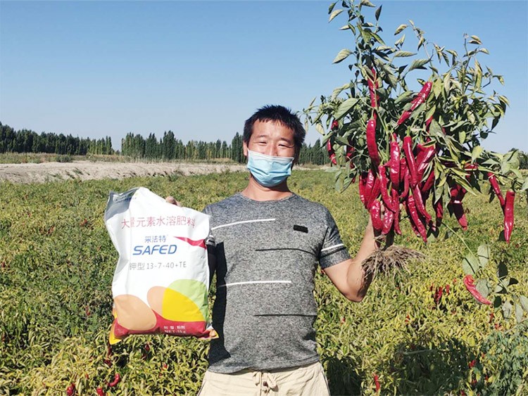 肥料廠家，有經(jīng)驗(yàn)的農(nóng)資人這樣選！