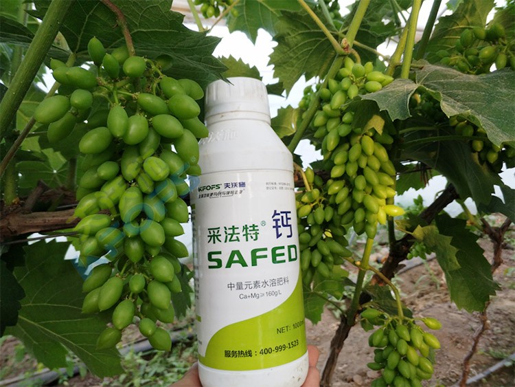 鈣肥什么品牌的比較好？