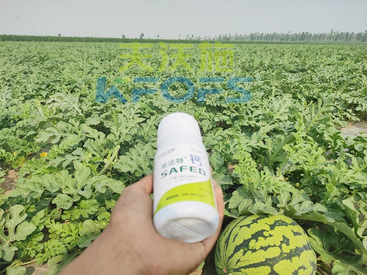 鈣肥什么品牌的比較好？