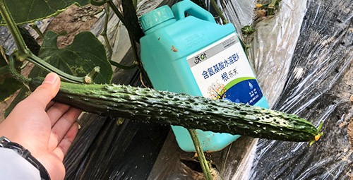 生根劑要安全不傷根，就選這個(gè)牌子！