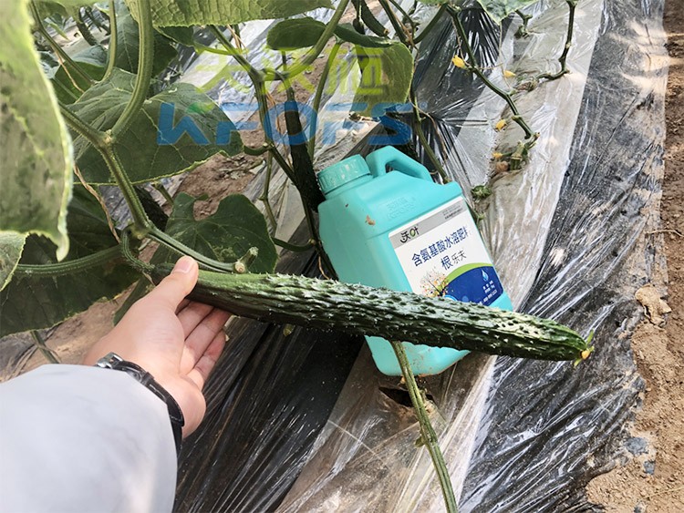 生根劑要安全不傷根，就選這個牌子！