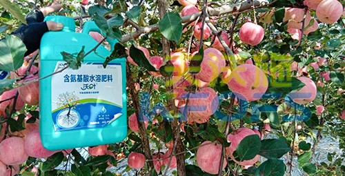 沖施肥怎么去沖施？什么牌子的好？