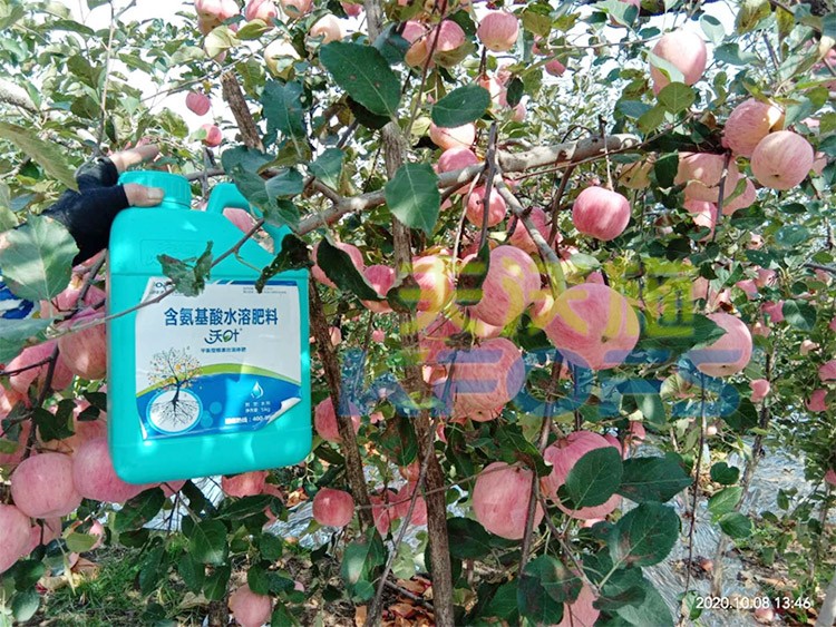 沖施肥怎么去沖施？什么牌子的好？