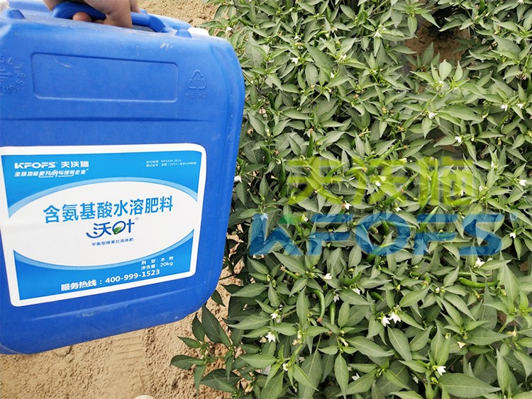 沖施肥怎么去沖施？什么牌子的好？