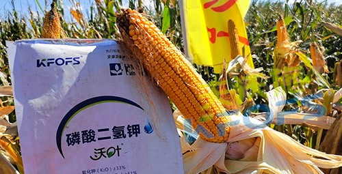 進口磷酸二氫鉀哪個品牌好？