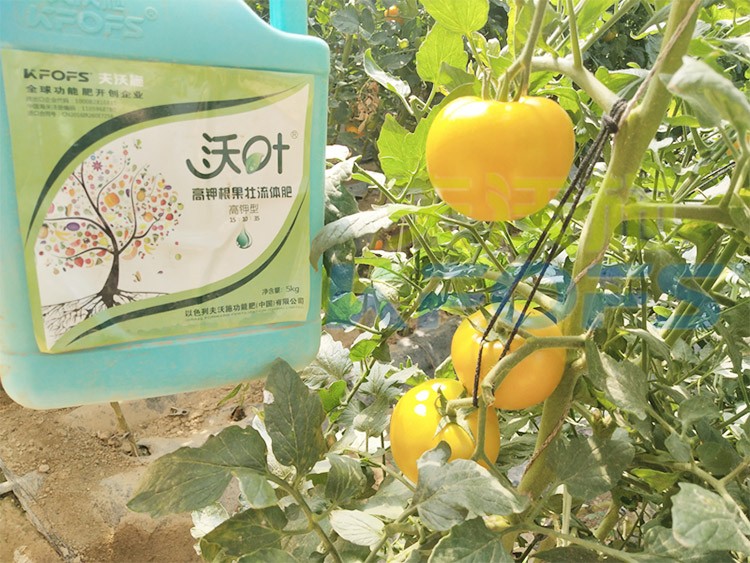 水溶肥的作用，不得不說太強(qiáng)大了！