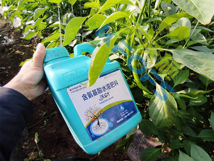 水溶肥的作用，不得不說太強(qiáng)大了！