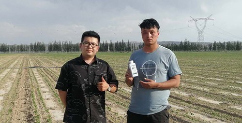 藥害還能恢復(fù)生長嗎？這篇告訴你！