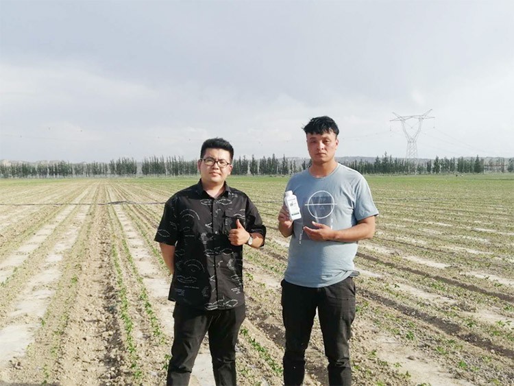 藥害還能恢復生長嗎？這篇告訴你！