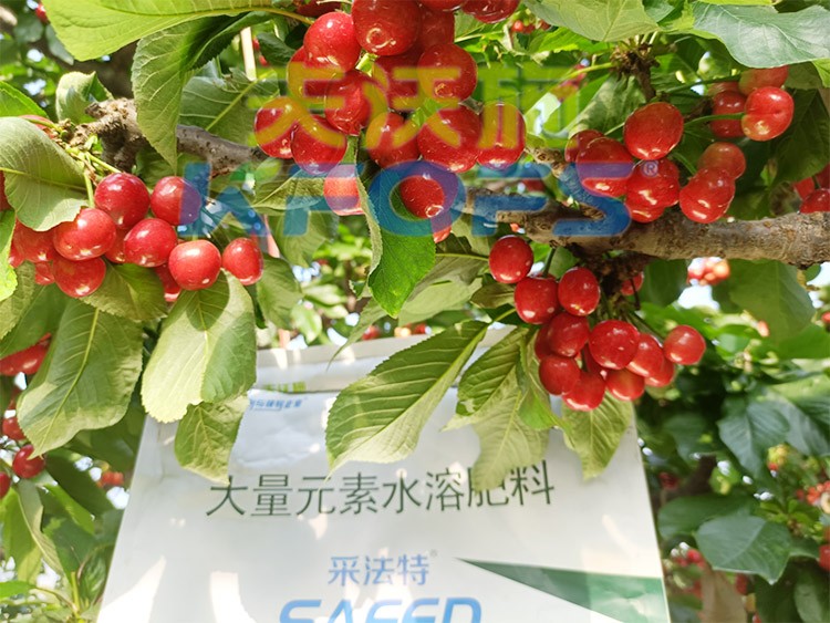 大量元素水溶肥為什么都說進(jìn)口的好？