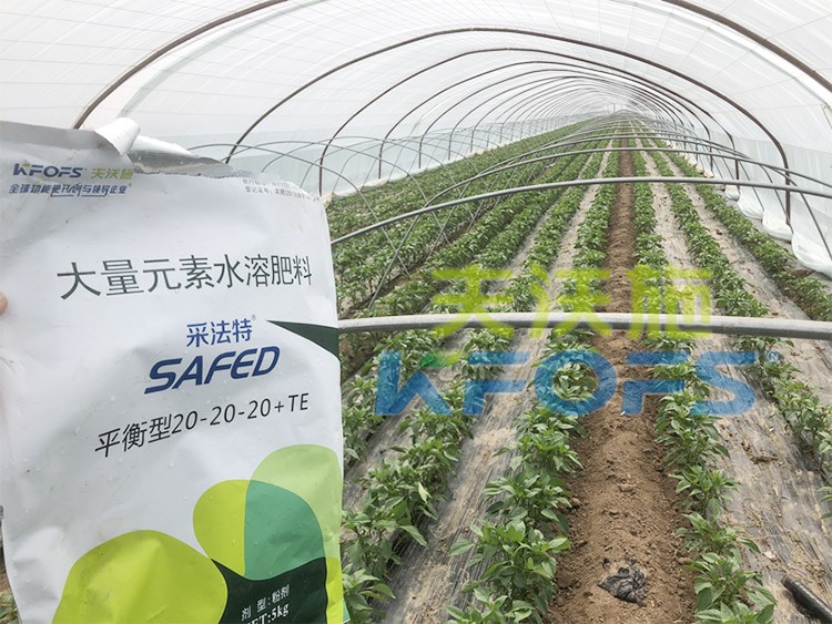 大量元素水溶肥為什么都說進(jìn)口的好？