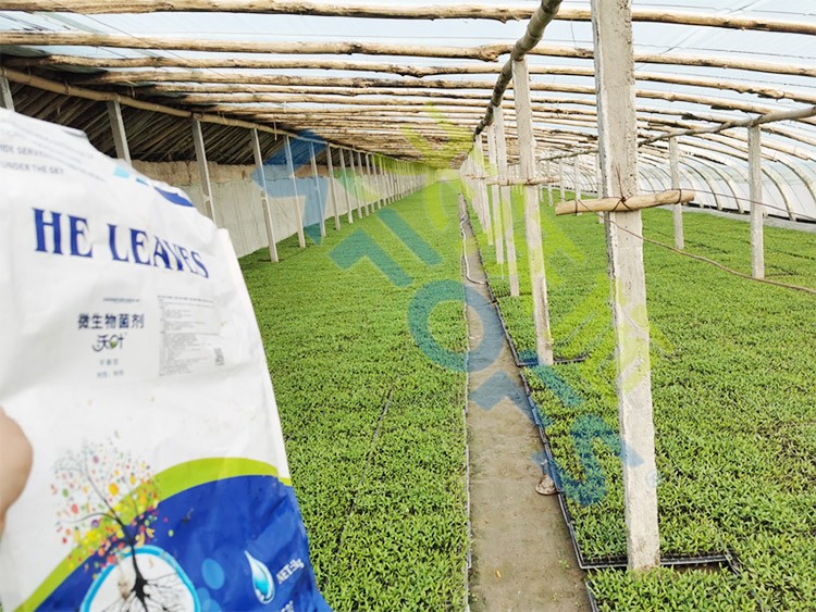 微生物菌劑廠家哪家好？