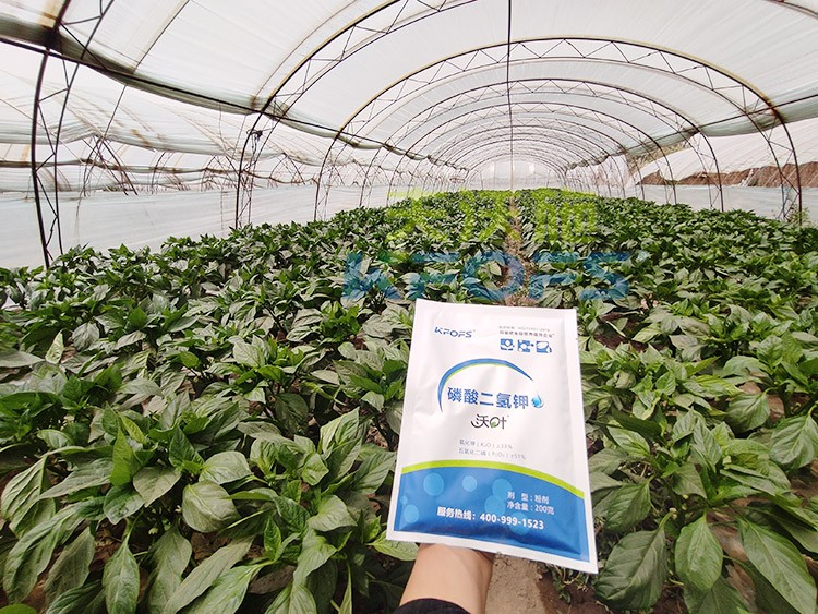 磷酸二氫鉀的正規(guī)廠家是什么樣的？