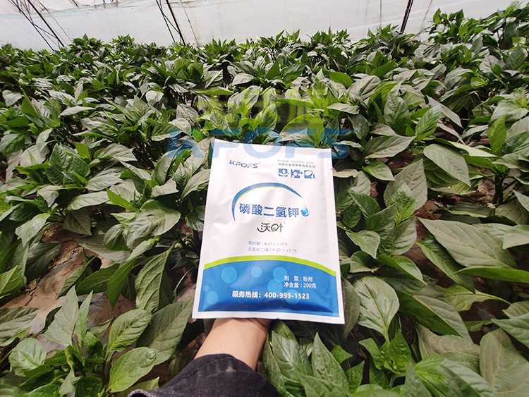 磷酸二氫鉀的正規(guī)廠家是什么樣的？