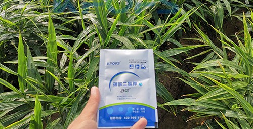 磷酸二氫鉀選這個品牌，不會錯！