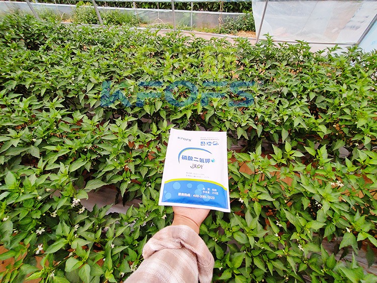 磷酸二氫鉀選這個品牌，不會錯！