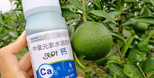 果樹補(bǔ)鈣用什么鈣肥好？